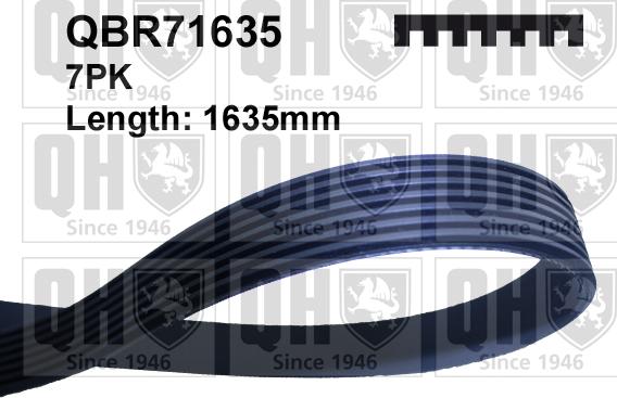 Quinton Hazell QBR71635 - Поліклиновий ремінь autozip.com.ua