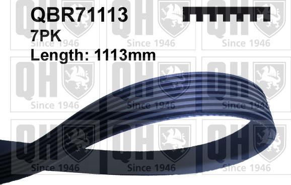 Quinton Hazell QBR71113 - Поліклиновий ремінь autozip.com.ua