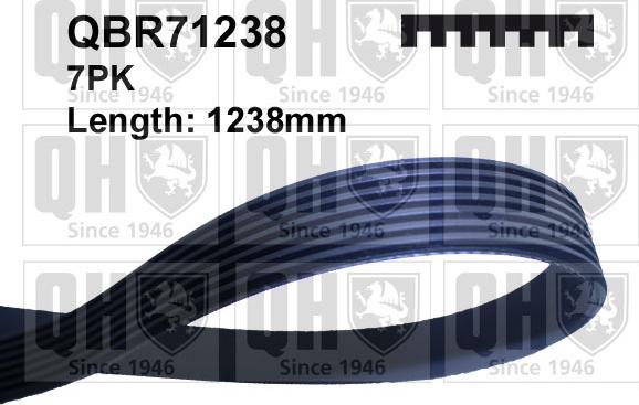 Quinton Hazell QBR71238 - Поліклиновий ремінь autozip.com.ua