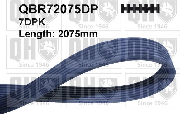 Quinton Hazell QBR72075DP - Поліклиновий ремінь autozip.com.ua
