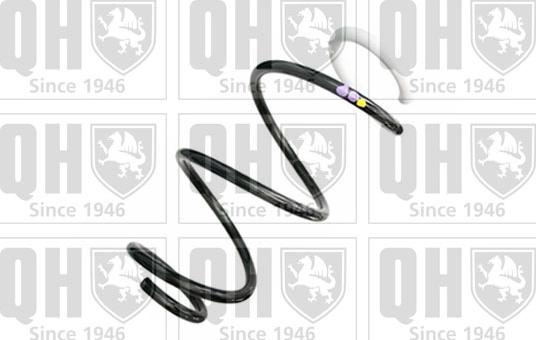 Quinton Hazell QCS9161 - Пружина ходової частини autozip.com.ua