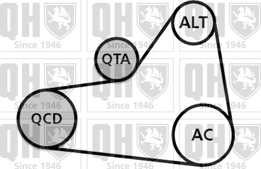 Quinton Hazell QDK99 - Поликлиновий ремінний комплект autozip.com.ua