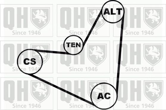 Quinton Hazell QDK41 - Поликлиновий ремінний комплект autozip.com.ua