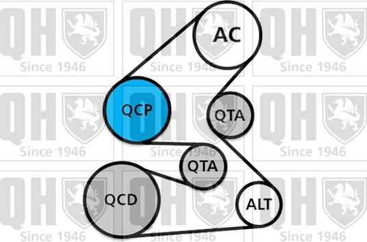 Quinton Hazell QDK143 - Поликлиновий ремінний комплект autozip.com.ua