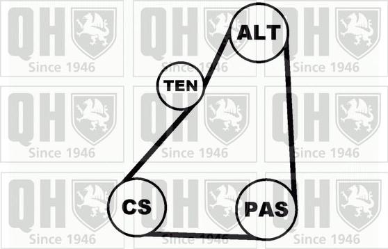 Quinton Hazell QDK16 - Поликлиновий ремінний комплект autozip.com.ua