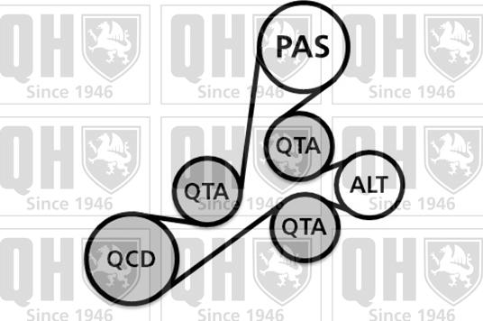 Quinton Hazell QDK54 - Поликлиновий ремінний комплект autozip.com.ua