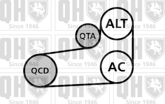 Quinton Hazell QDK108 - Поликлиновий ремінний комплект autozip.com.ua