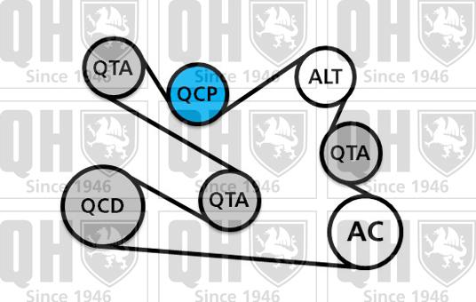 Quinton Hazell QDK136 - Поликлиновий ремінний комплект autozip.com.ua