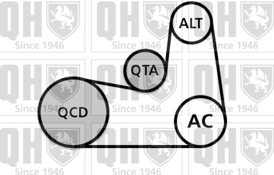 Quinton Hazell QDK132 - Поликлиновий ремінний комплект autozip.com.ua