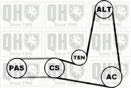 Quinton Hazell QDK1 - Поликлиновий ремінний комплект autozip.com.ua