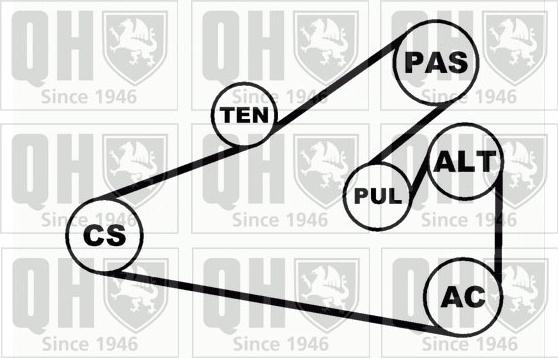 Quinton Hazell QDK24 - Поликлиновий ремінний комплект autozip.com.ua