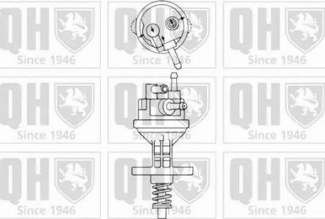 Quinton Hazell QFP300 - Паливний насос autozip.com.ua