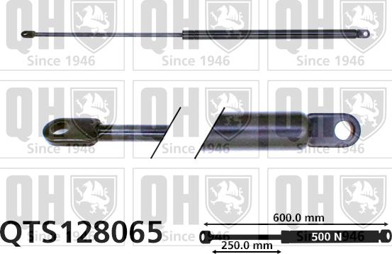 Quinton Hazell QTS128065 - Газова пружина, кришка багажник autozip.com.ua