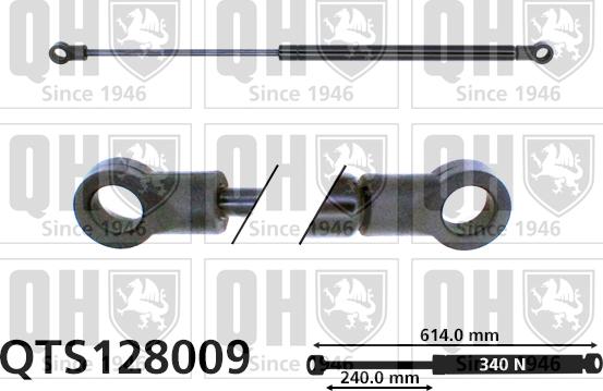 Quinton Hazell QTS128009 - Газова пружина, кришка багажник autozip.com.ua