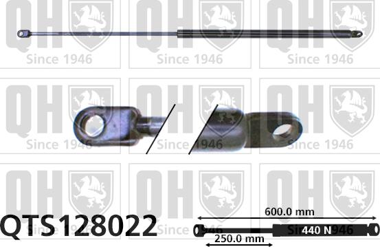 Quinton Hazell QTS128022 - Газова пружина, кришка багажник autozip.com.ua