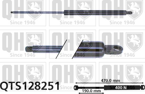 Quinton Hazell QTS128251 - Газова пружина, кришка багажник autozip.com.ua