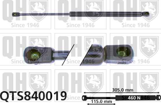 Quinton Hazell QTS840019 - Газова пружина, кришка багажник autozip.com.ua