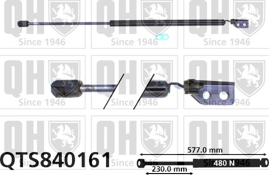 Quinton Hazell QTS840161 - Газова пружина, кришка багажник autozip.com.ua