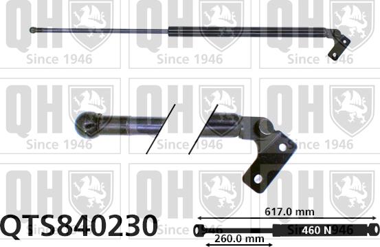 Quinton Hazell QTS840230 - Газова пружина, кришка багажник autozip.com.ua