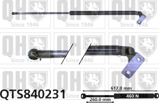 Quinton Hazell QTS840231 - Газова пружина, кришка багажник autozip.com.ua