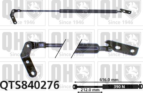 Quinton Hazell QTS840276 - Газова пружина, кришка багажник autozip.com.ua