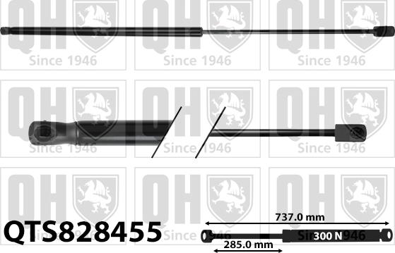 Quinton Hazell QTS828455 - Газова пружина, капот autozip.com.ua