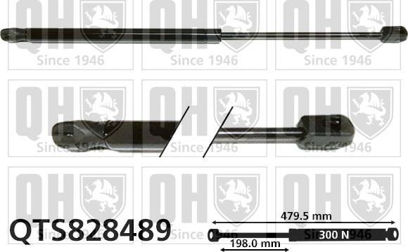 Quinton Hazell QTS828489 - Газова пружина, капот autozip.com.ua