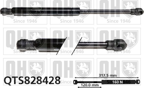 Quinton Hazell QTS828428 - Газова пружина, заднє скло autozip.com.ua
