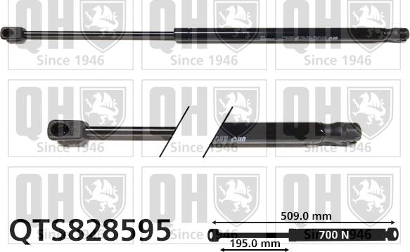 Quinton Hazell QTS828595 - Газова пружина, кришка багажник autozip.com.ua