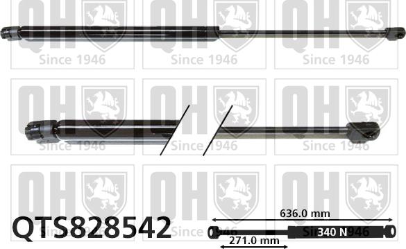 Quinton Hazell QTS828542 - Газова пружина, кришка багажник autozip.com.ua