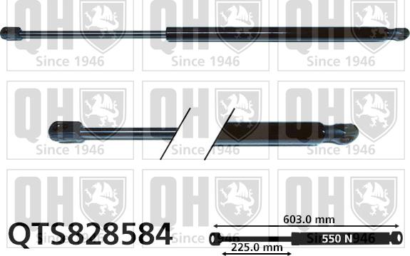 Quinton Hazell QTS828584 - Газова пружина, кришка багажник autozip.com.ua
