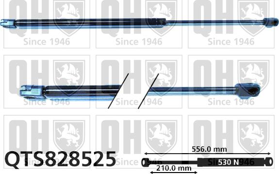 Quinton Hazell QTS828525 - Газова пружина, кришка багажник autozip.com.ua