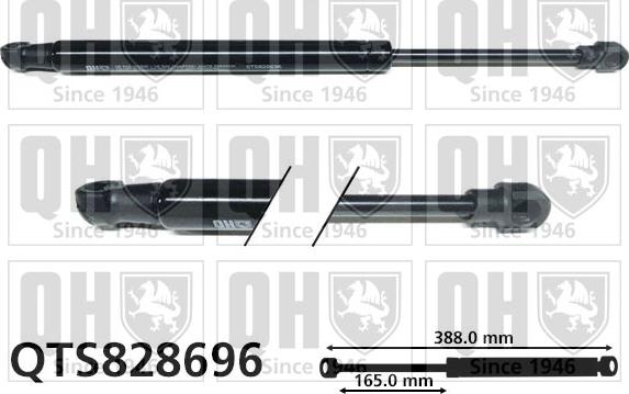 Quinton Hazell QTS828696 - Газова пружина, кришка багажник autozip.com.ua