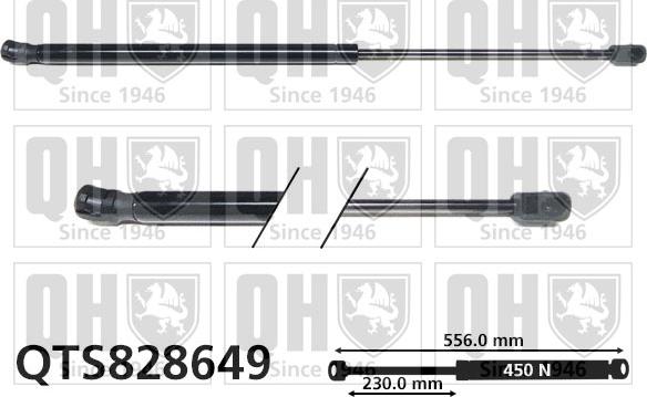 Quinton Hazell QTS828649 - Газова пружина, кришка багажник autozip.com.ua