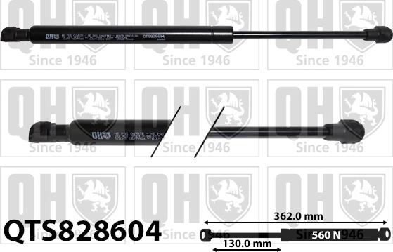 Quinton Hazell QTS828604 - Газова пружина, капот autozip.com.ua