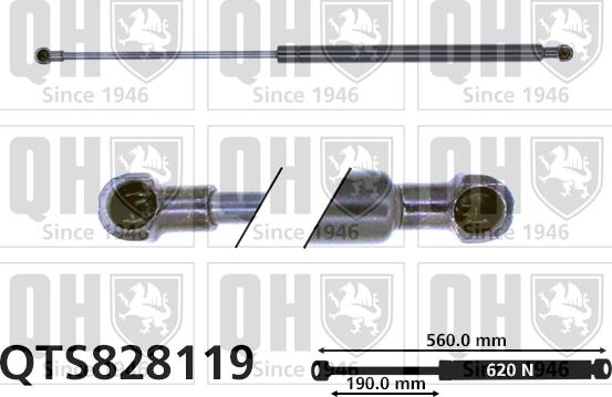 Quinton Hazell QTS828119 - Газова пружина, кришка багажник autozip.com.ua