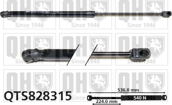 Quinton Hazell QTS828315 - Газова пружина, кришка багажник autozip.com.ua