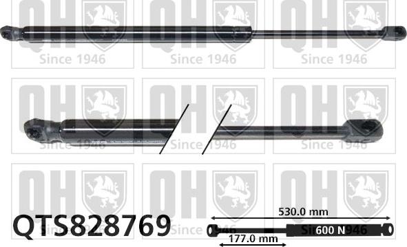 Quinton Hazell QTS828769 - Газова пружина, кришка багажник autozip.com.ua