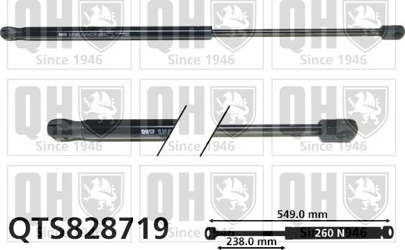 Quinton Hazell QTS828719 - Газова пружина, кришка багажник autozip.com.ua