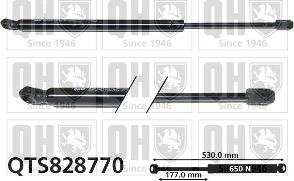Quinton Hazell QTS828770 - Газова пружина, кришка багажник autozip.com.ua