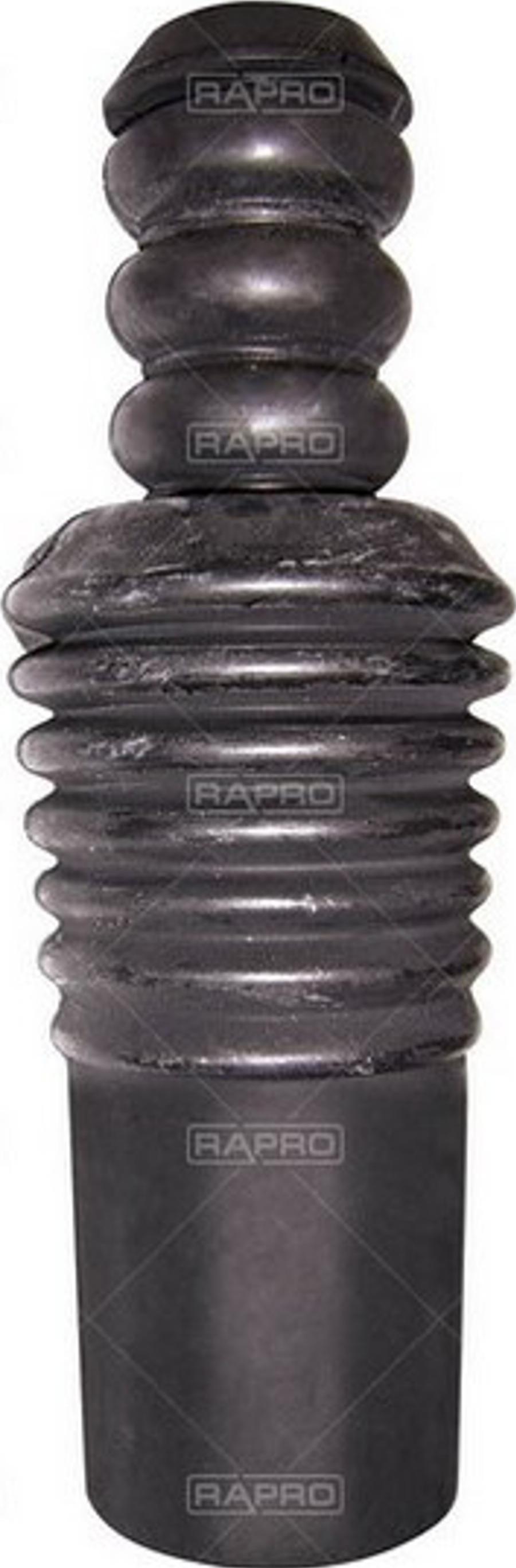 Rapro 59885 - Пилозахисний комплект, амортизатор autozip.com.ua