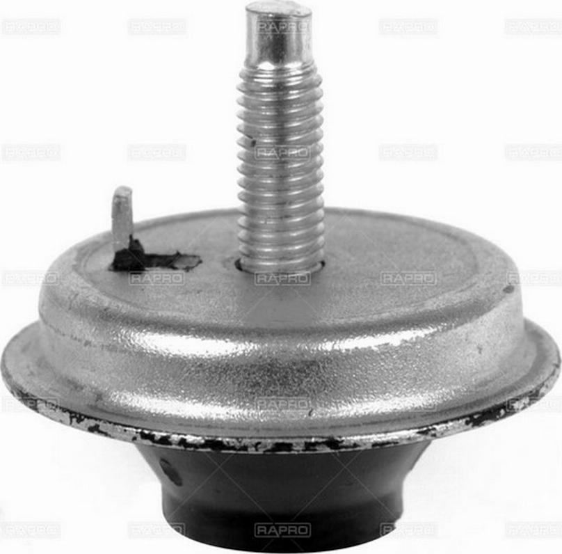 Rapro 54507 - Подушка, підвіска двигуна autozip.com.ua
