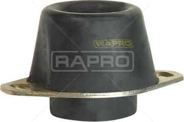 Rapro R59741 - Подушка, підвіска двигуна autozip.com.ua