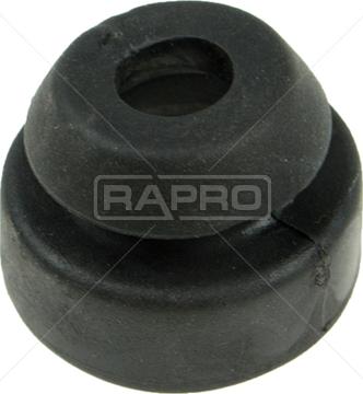 Rapro R51665 - Підвіска, радіатор autozip.com.ua