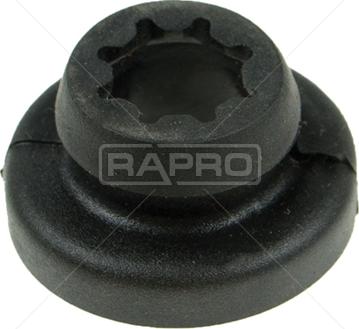 Rapro R51663 - Кронштейн, корпус повітряного фільтра autozip.com.ua