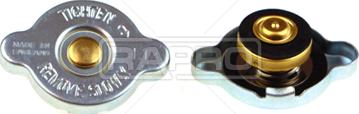 Rapro R66134 - Кришка, резервуар охолоджуючої рідини autozip.com.ua