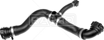 Rapro R19016 - Шланг радіатора autozip.com.ua