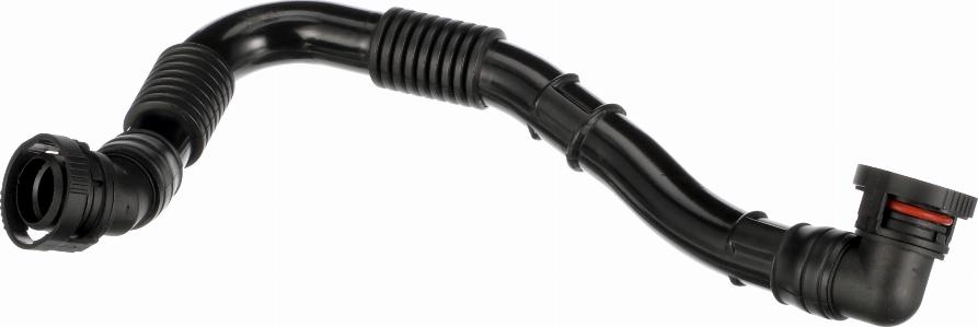 Rapro R251101 - Шланг, вентиляція картера autozip.com.ua
