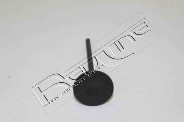 Red Line 15NI046 - Впускний клапан autozip.com.ua