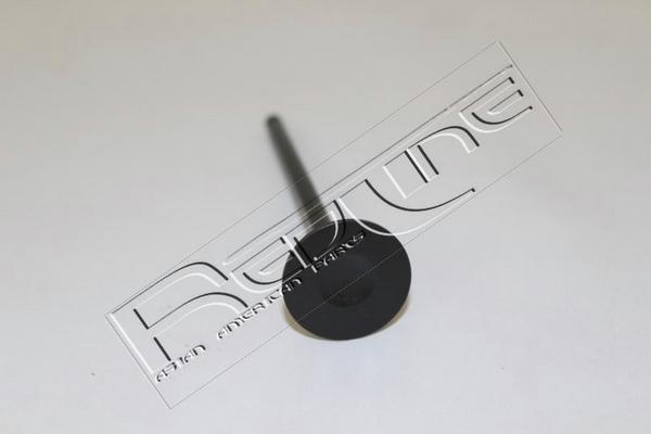 Red Line 15NI047 - Випускний клапан autozip.com.ua